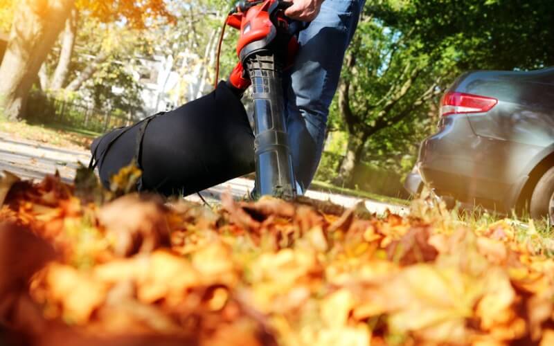 Professional Lawn Seasonal Cleanup Services in St. Charles, MO